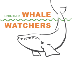 Whale Watcher Logo